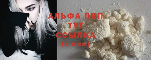 прущие грибы Кулебаки
