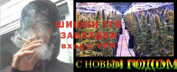 крисы Куйбышев