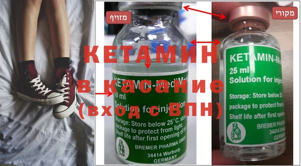прущие грибы Кулебаки