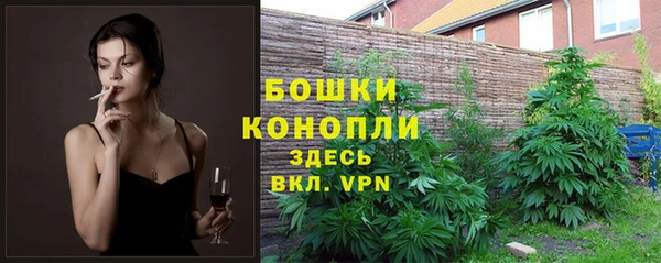 прущие грибы Кулебаки