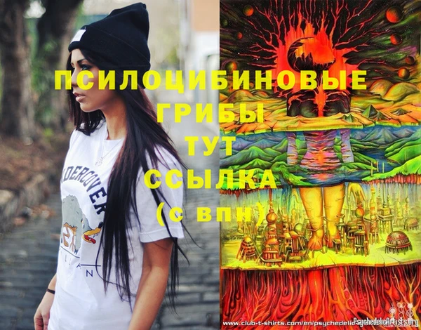 прущие грибы Кулебаки
